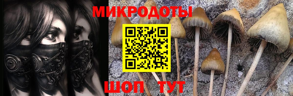 Галлюциногенные грибы Cubensis Канаш