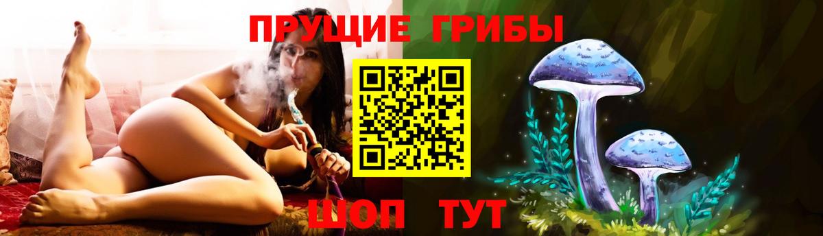 Канаш  Псилоцибиновые грибы Psilocybine cubensis  Вход с VPN 